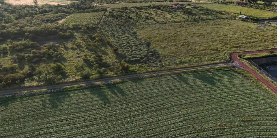 Vista aérea sobre el acceso al terreno
